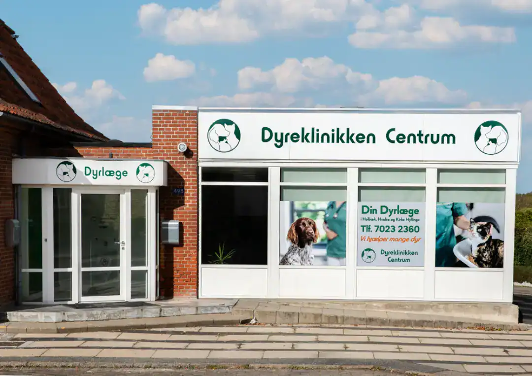 Dyreklinik Sjælland med fokus på dyrlæge- og dyreplejetjenester.