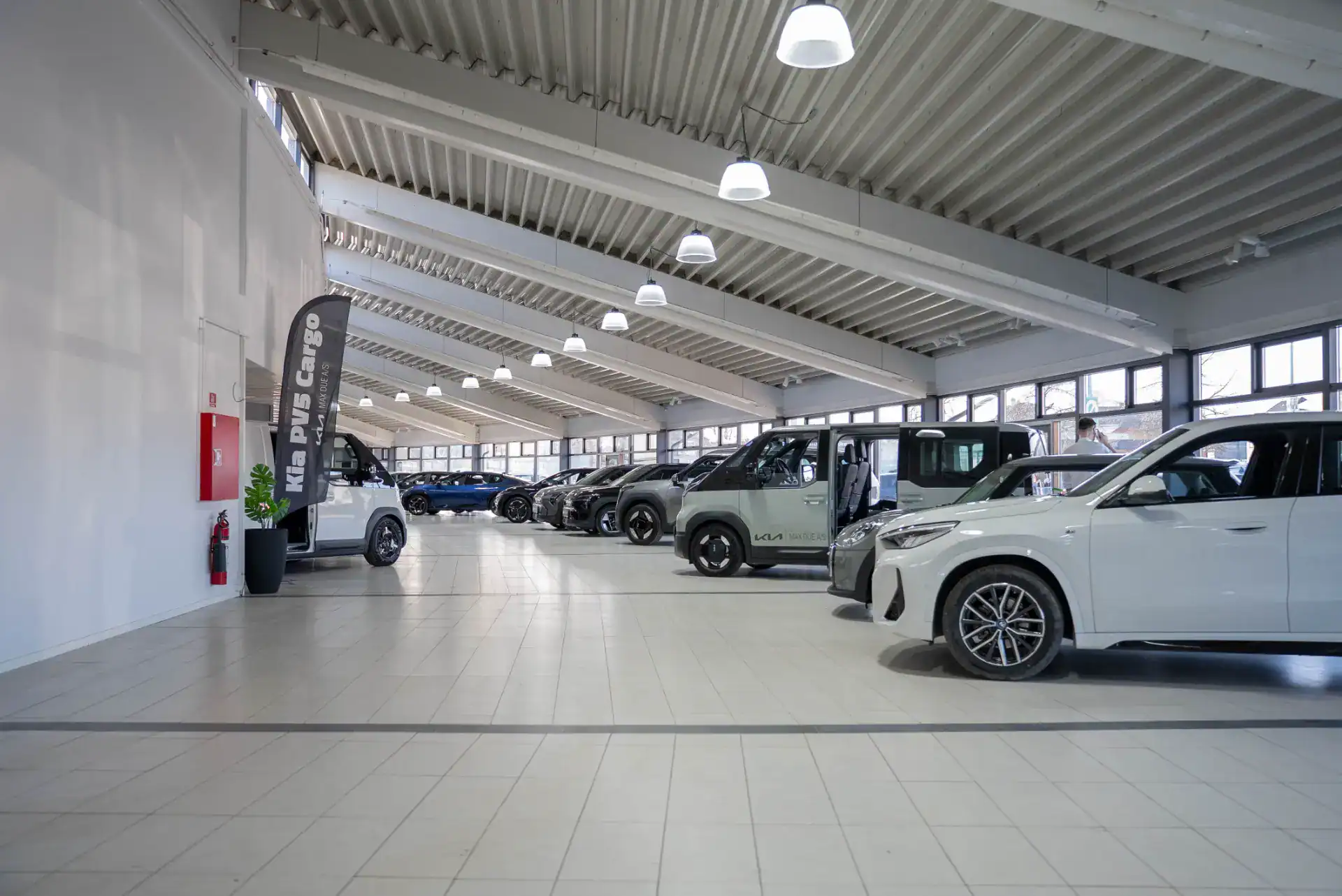 Biludstilling med forskellige modeller i et lyst og rummeligt showroom.